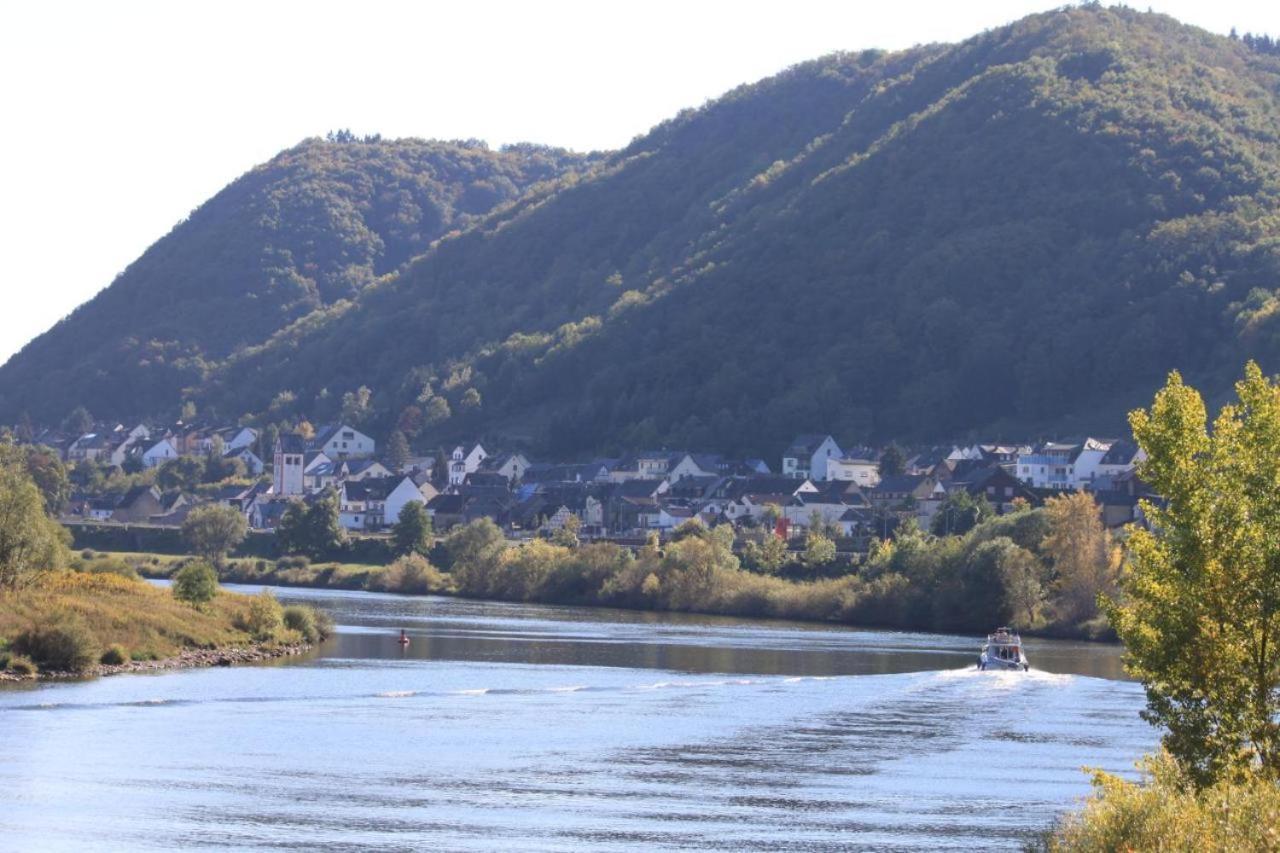 Ferienwohnung Moselliebe Lehmen エクステリア 写真